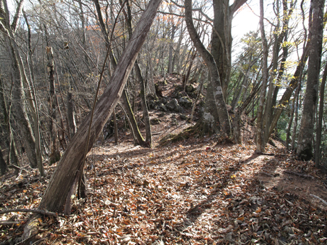 20171116hike (94)